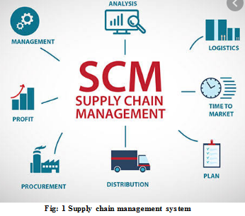 Managing Information Systems Assignment1.png